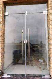 Doors Pivot Glass_0