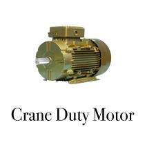 CG CRANE S4 1000 rpm Three Phase 0.5 hp Six Pole Foot cum Flange Mounted AC Motors_0