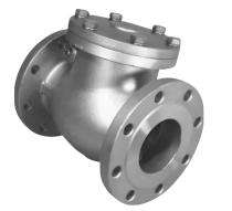 RAMEN 25 mm Swing Stainless Steel Check Valves Flanged_0