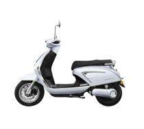 RAFT Cosmic EV Magnetic White 100 km 36 Ah 4 hr Electric Bike_0