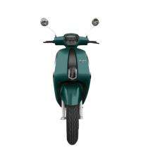 RAFT Cosmic EV Magnetic Green 100 km 36 Ah 4 hr Electric Bike_0