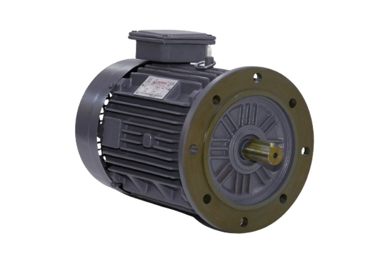 Zeppi ZEMPL120 3000 rpm Three Phase 120 hp Double Pole Flange Mounted AC Motors_1