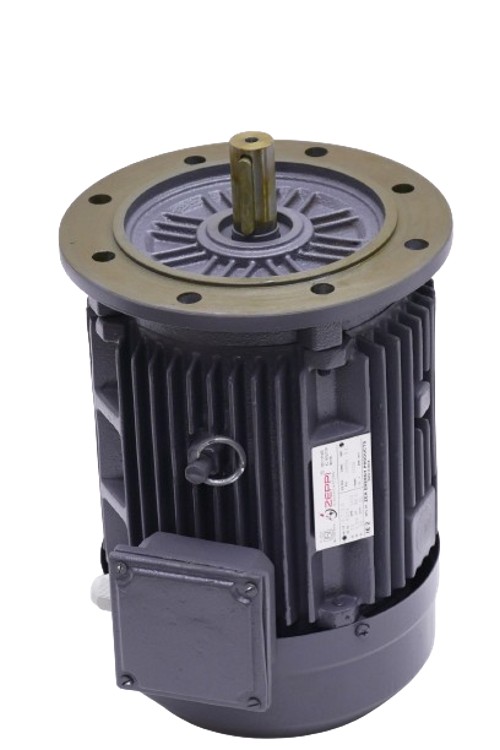 Zeppi ZEMPL60 1000 rpm Three Phase 60 hp Six Pole Flange Mounted AC Motors_2