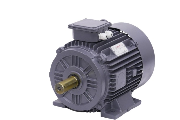 Zeppi ZEMPL2 1000 rpm Three Phase 2 hp Six Pole Foot Mounted AC Motors_2