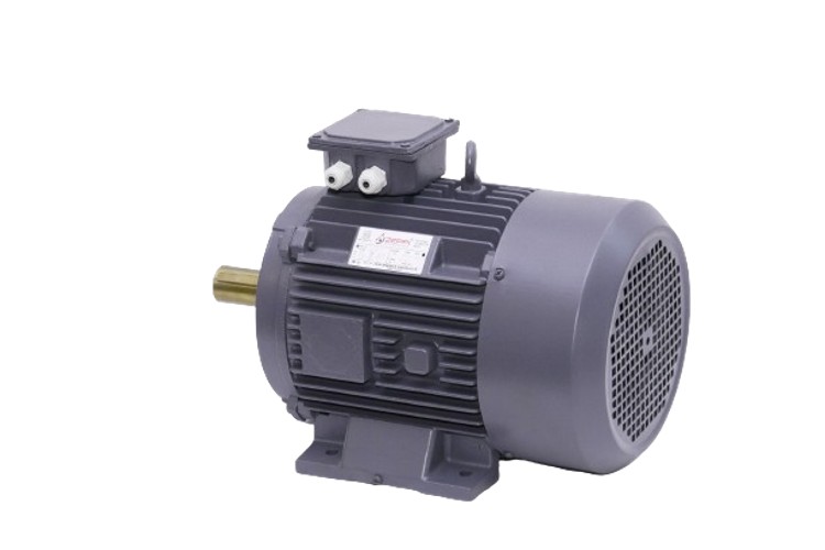 Zeppi ZEMPL3 1000 rpm Three Phase 3 hp Six Pole Foot Mounted AC Motors_1