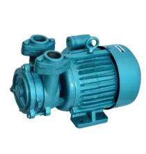 GOLDWIN TEVSP 4 0.5 hp 1440 rpm Monoblock Pumps_0