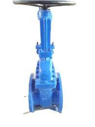 AMTECH Manual CI Gate Valves 100 mm_0