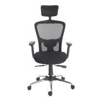 Durian Mesh Chair Black 630x660x1235 mm Injection Moulded Frame Office Chairs_0