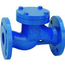 AMTECH Lift Up CI Non Return Valves 6 - 50 mm Screwed_0