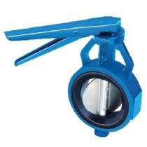 AMTECH 1 - 60 inch Manual Stainless Steel Butterfly Valve 2102A_0