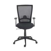 Durian Mesh Chair Black 585 x 670 x 1120 mm Two Pieces Injection Moulded Office Chairs_0
