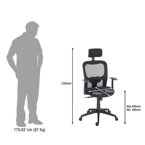 Durian Mesh Chair Black 640 x 480 x 1240 mm Two Pieces Injection Moulded Office Chairs_4