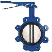 Thirumala 50 mm Manual CI Butterfly Valves Flanged PN 10_0