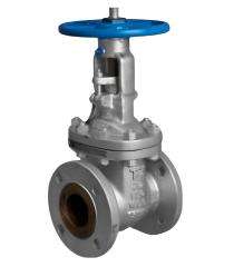 MARUTI 25 mm Manual Stainless Steel Gate Valves Flanged_0