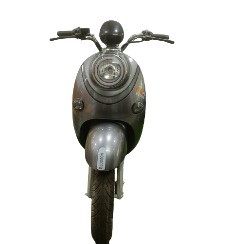 e-Ashwa Blossom 60 km 60 V 3 - 4 hr Electric Bike_0