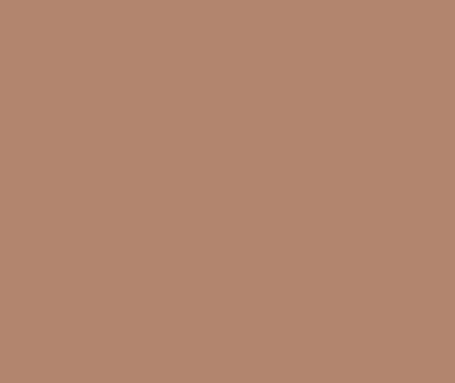 Asian Paints Ginger Bread Exterior Emulsion Paints 4 L_1