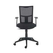 Durian Mesh Chair Black 560 x 660 x 1000 mm Two Pieces Injection Moulded Office Chairs_0