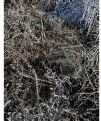 Somnath Mild Steel Metal Scrap Shredded 90% Purity_0
