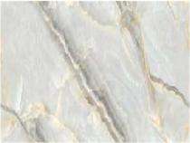 Antiek Anantam Glossy 600 x 1200 mm Amrit Glossy Vitrified Tile_0