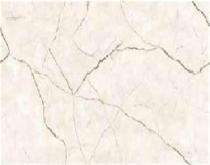 Antiek Anantam Glossy 600 x 1200 mm Shloka Glossy Vitrified Tile_0