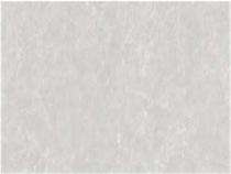 Antiek Anantam Glossy 600 x 1200 mm Mohara Blanco Glossy Vitrified Tile_0