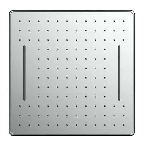 R.N. 6301 Overhead Single Flow Shower 10 x 10 inch Stainless Steel_1