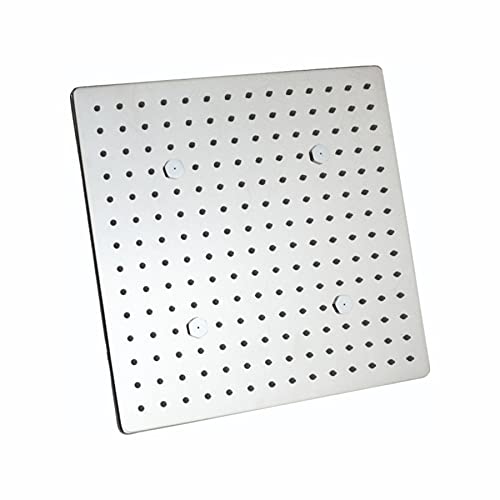 R.N. 6901 Overhead Dual Flow Shower 12 x 12 inch Stainless Steel_1