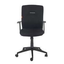 Durian MediumBack Standard Fabric Black 580 x 670 x 1110 mm Hot Pressed Plywood Office Chairs_0