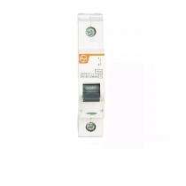 L&T EXORA BB10100B Single Pole 10 A B Curve MCB_0