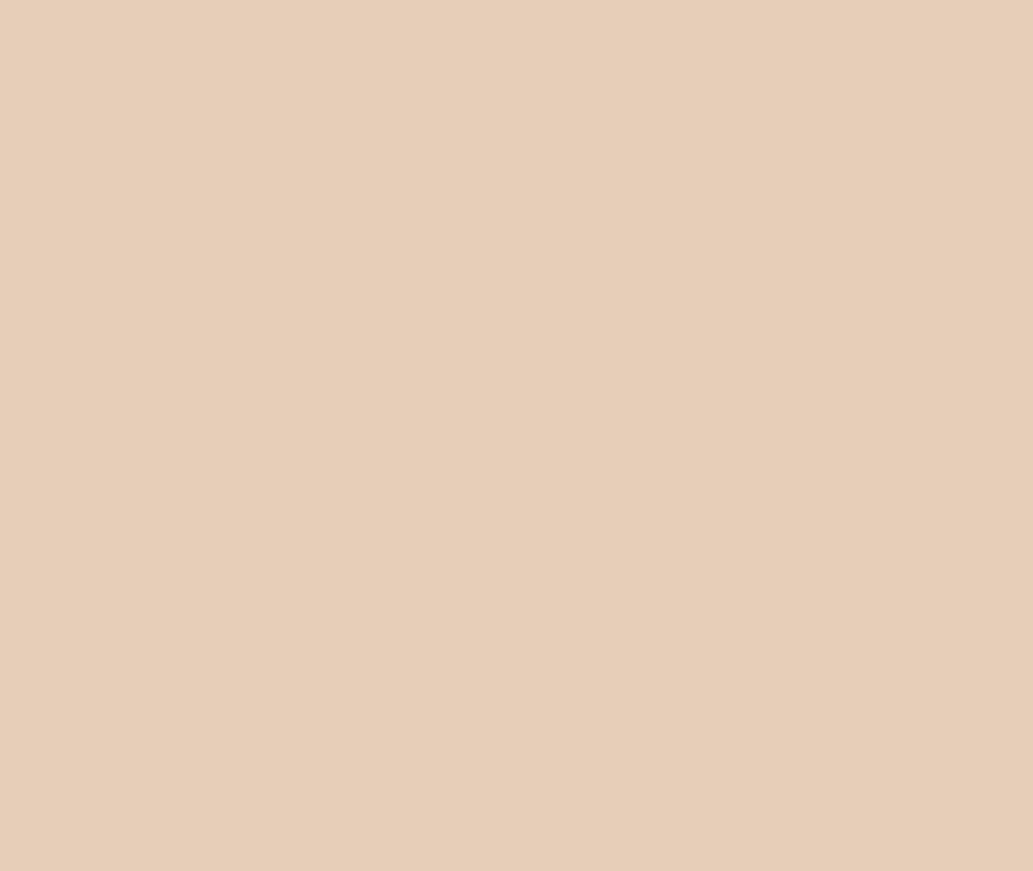 Asian Paints Baked Biscuit Acrylic Emulsion Paints 1 L_1