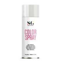 SG Paint & Technology SG-7035 Spray Paint 400 mL Havells Grey_0
