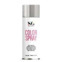 SG Paint & Technology SG-0621 Spray Paint 400 mL Silver_0