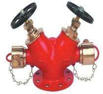 Safety Equipments SE-25 Mild Steel Double Outlet Fire Hydrant System_0