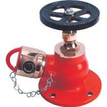 NewAge Gun Metal Oblique Flanged Hydrant Valves_0