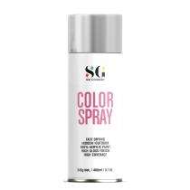 SG Paint & Technology Zinc Spray Paint 400 mL Zinc Matel Spray SG-0623_0