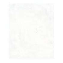 G C Cera Antico Bianco 600 x 1200 mm White Glossy Ceramic Tile_0