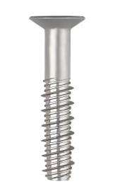 AFT 10 mm Countersunk Concrete Screw 100 mm_0