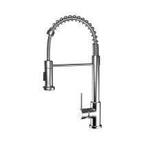 R.N. Chrome Plated Single Lever Kitchen Mixer Faucet RNROP24G55_0