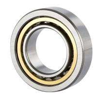 SHINTO SH209 Roller Bearings Four Row Cylindrical Steel_0