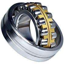 SHINTO SH1932 Roller Bearings Double Row Spherical Stainless Steel_0