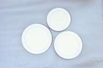 Ecova 24 W Round Cool White 300 x 300 mm LED Panel Lights Recessed Mounted_0