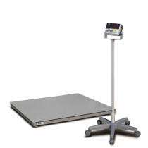 CAS Platform Scale Electronics Weighing Scale 2000 kg HFS -DZ_0