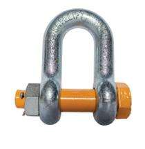 Safelift 1.25 inch D Shackle 12 ton DNSL0812_0
