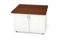 Western Interio Storage Cabinet_0