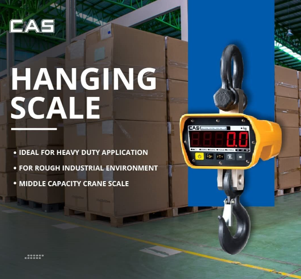 CAS 30000 kg Crane Scale LED 10 kg THZ-30-HW_1