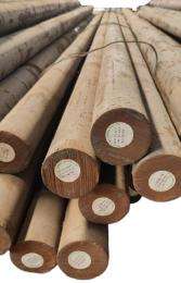 70 mm Alloy Steel Rounds 40CR4 12 m_0