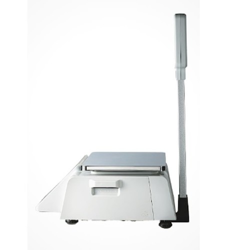 CAS Table Top Electronics Weighing Scale 6 kg CL-3000-Pole_1