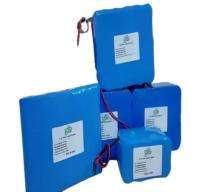 LEEPL 54 Ah 12.8 V Lithium Ion Batteries_0