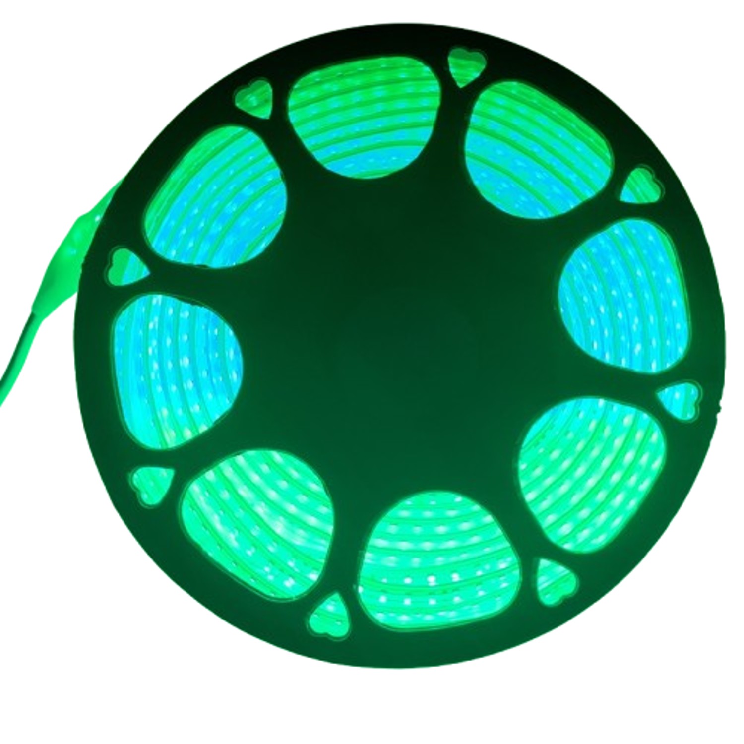 LUMOGEN Green 25 m IP65 LED Rope Light_1