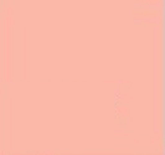 NEROLAC Aleha Rose Interior Emulsion Paints 1 L_1